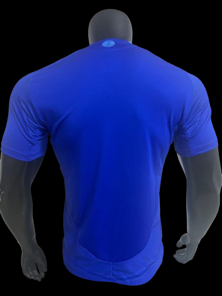 Maillot Argentine extérieur 2024/2025 Player Version - vue de dos