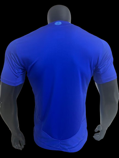 Argentina Away Shirt 24/25 - Player Version