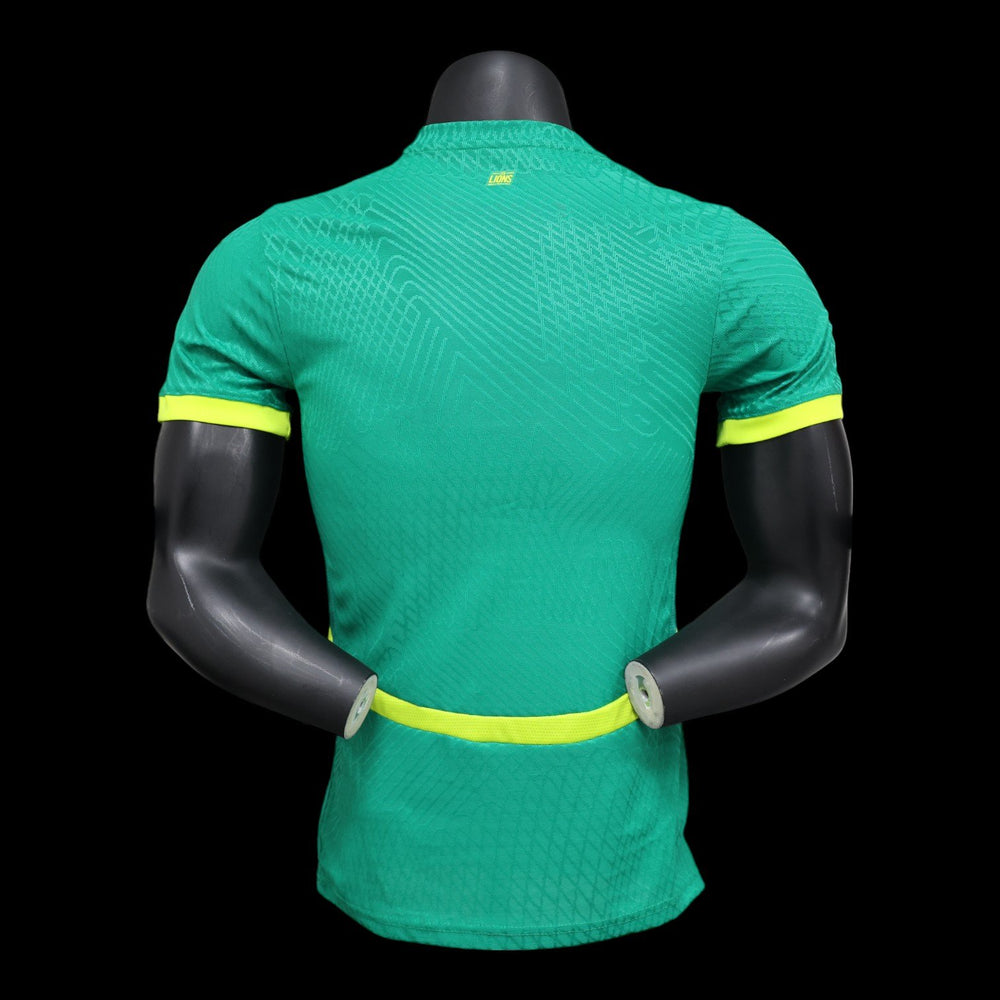 Maillot Sénégal extérieur 2025/2026 Player Version - vue de dos