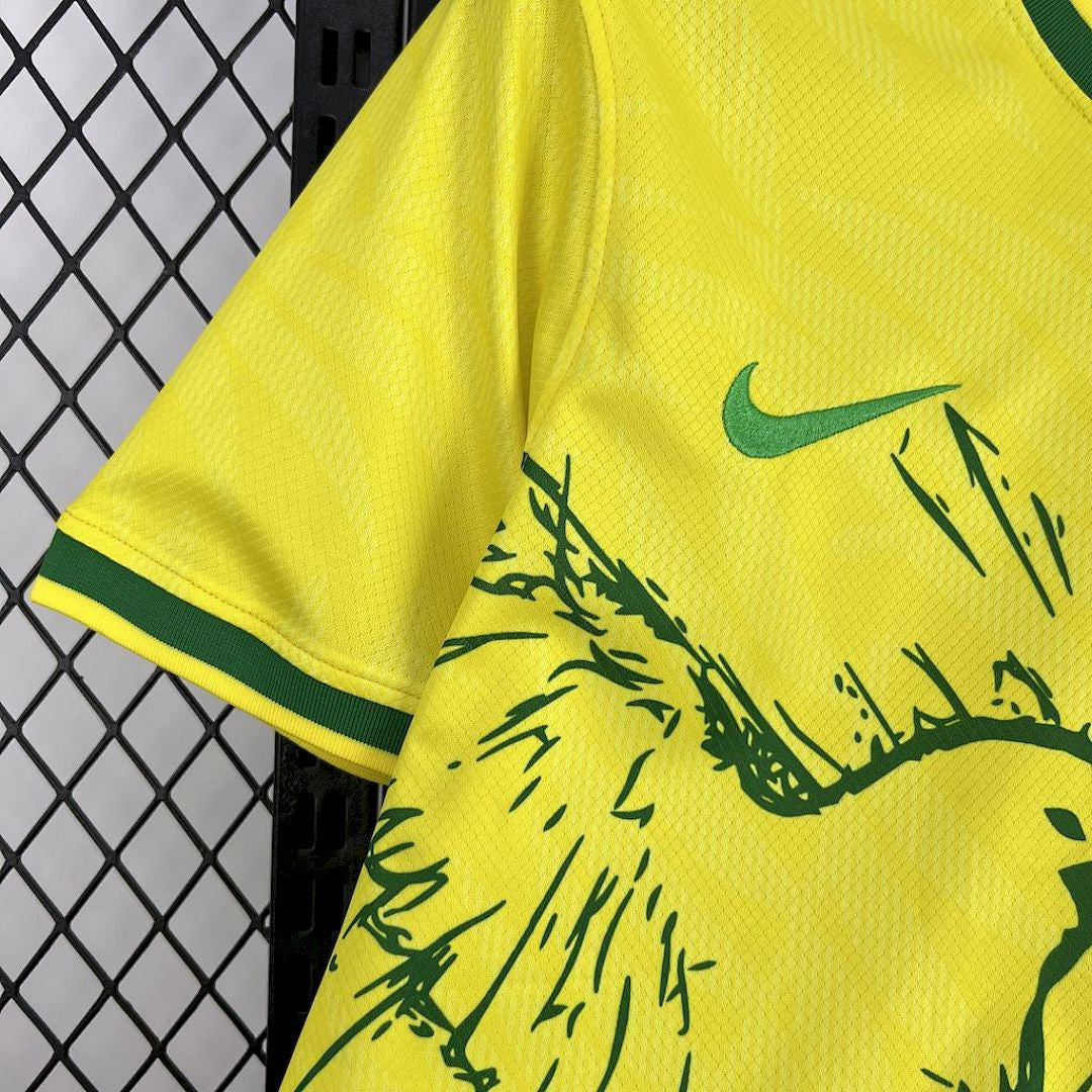 Maillot Bresil 2025