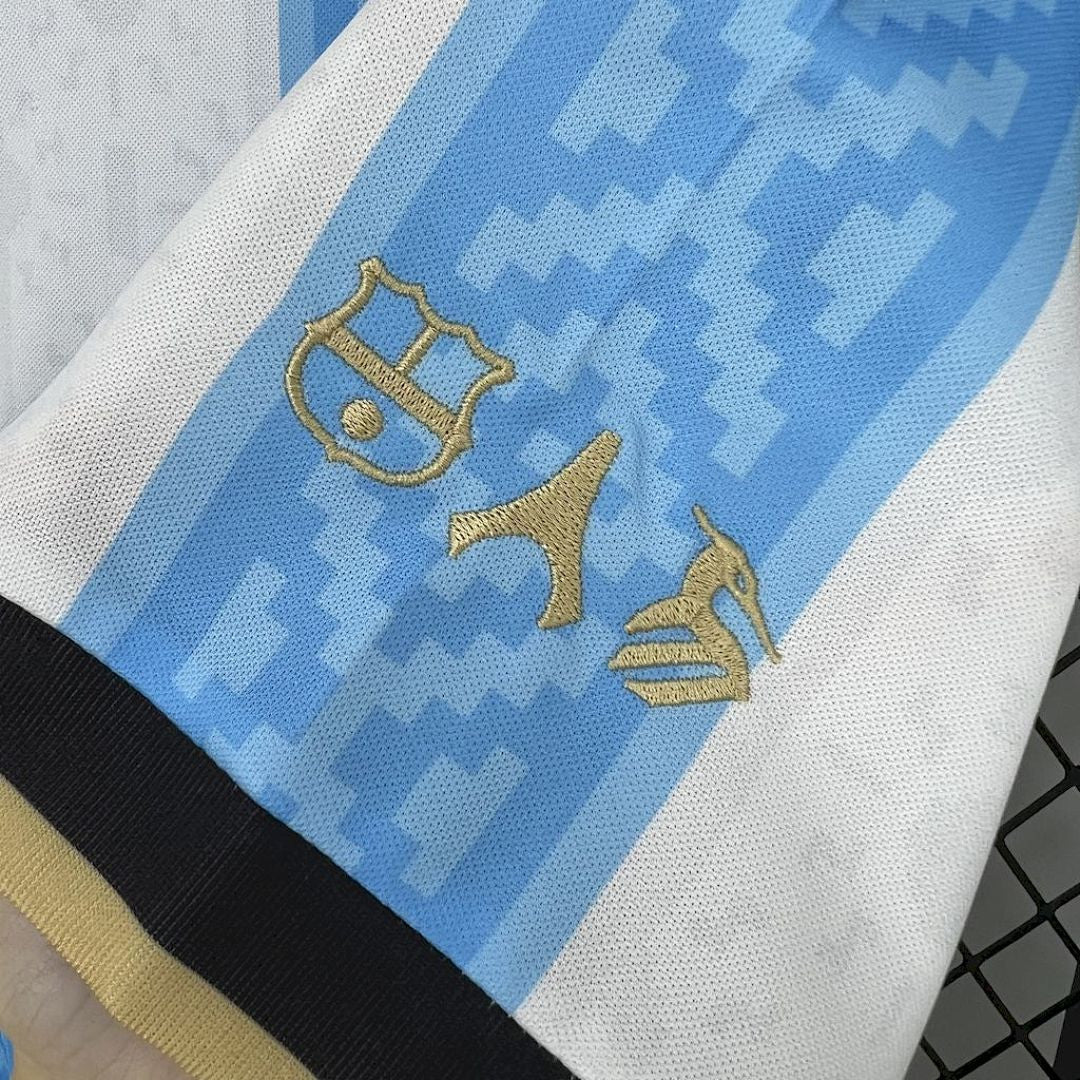 Maillot Argentine 2024 Special
