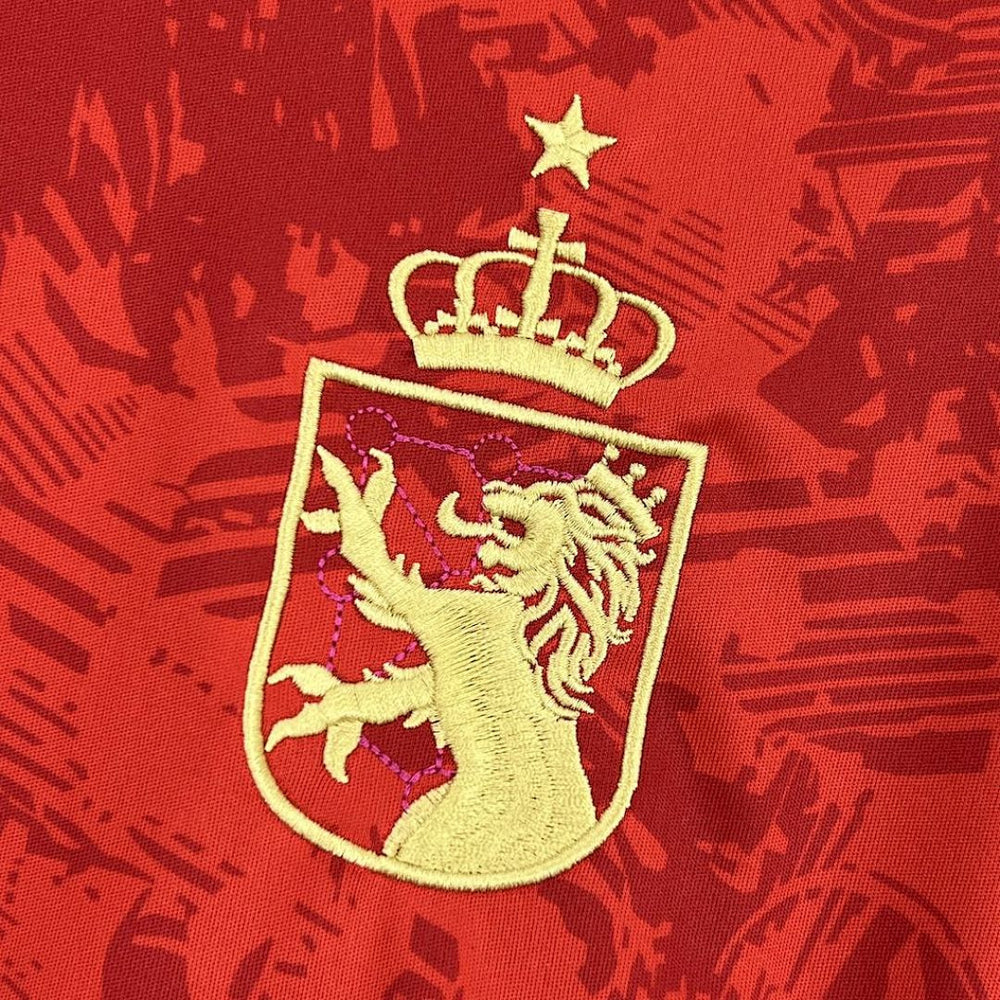 Maillot Espagne 2024 Special