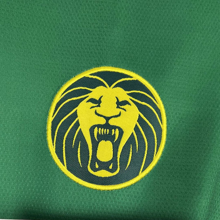 Maillot Cameroun 2025 Domicile