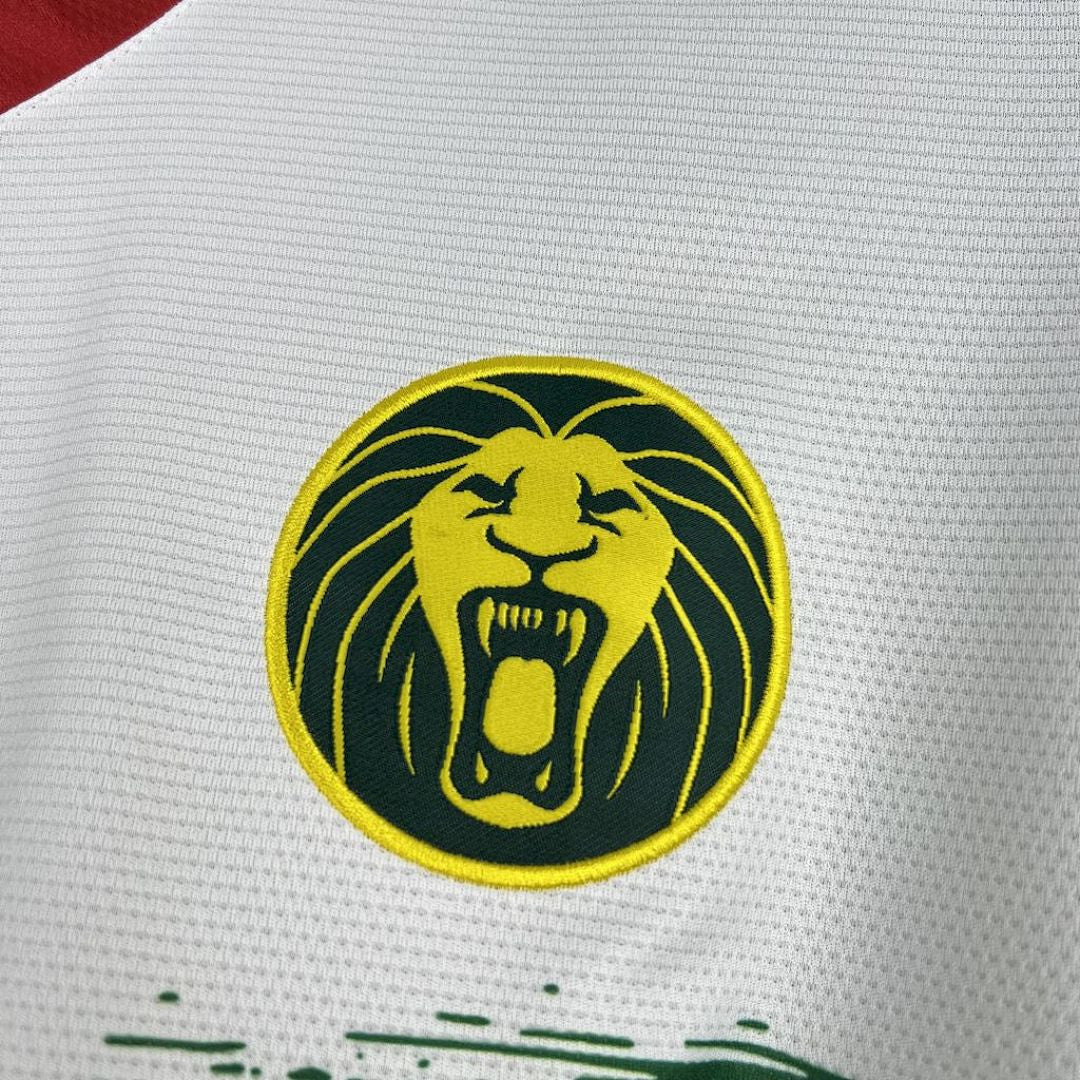 Maillot Cameroun 2025 Third