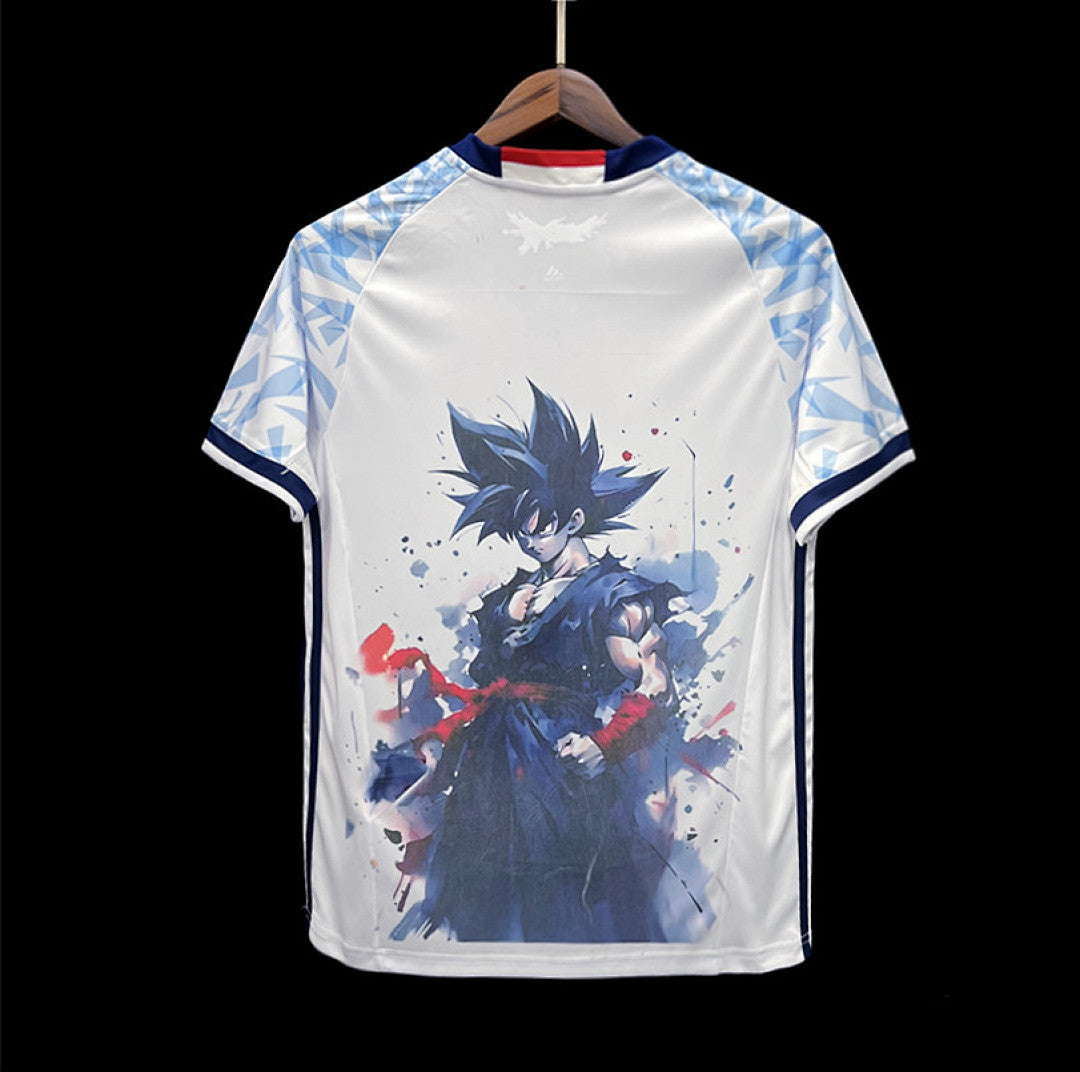 Maillot Japon