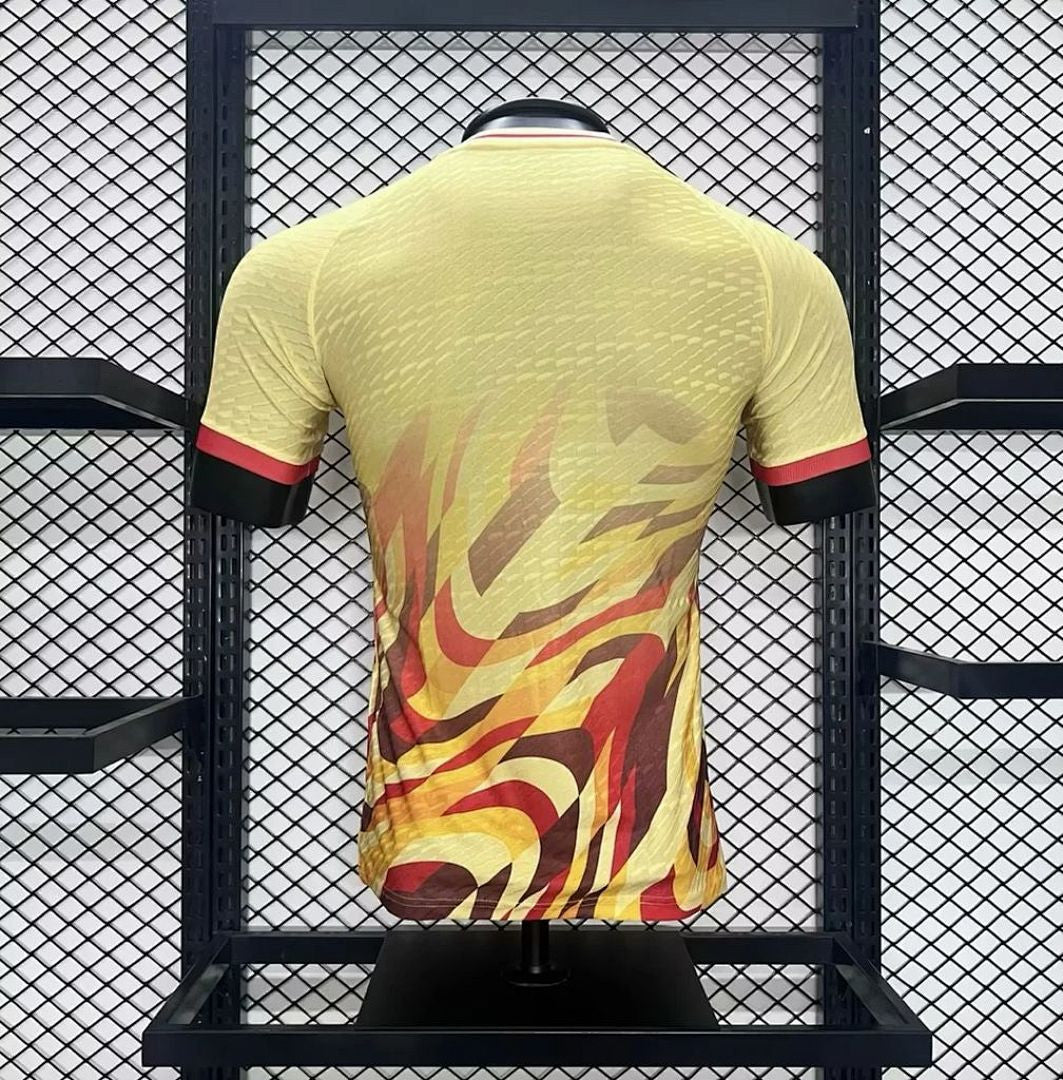 Maillot Espagne 2024 Special Version Joueur