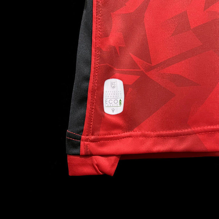Maillot Albanie Domicile