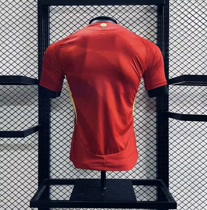 Maillot Espagne 2024 Domicile Version Joueur
