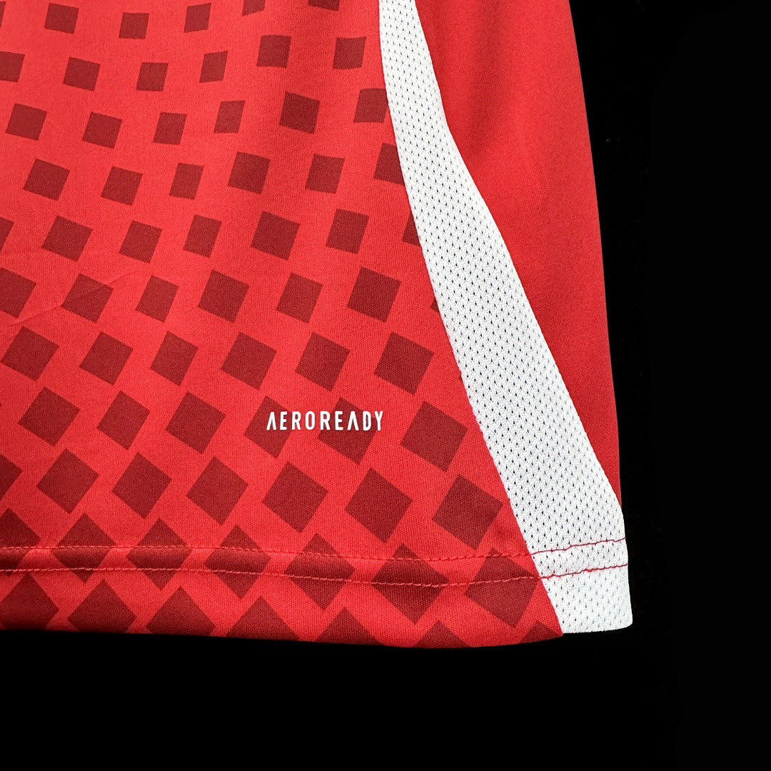 Maillot Chili Domicile
