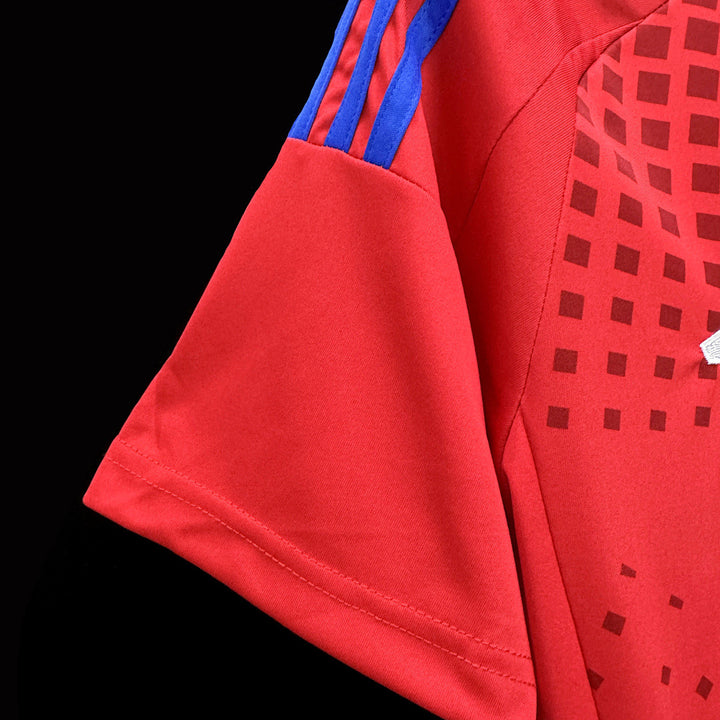 Maillot Chili Domicile
