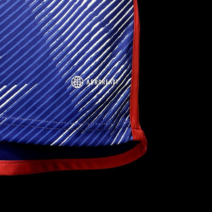 Maillot Japon Domicile