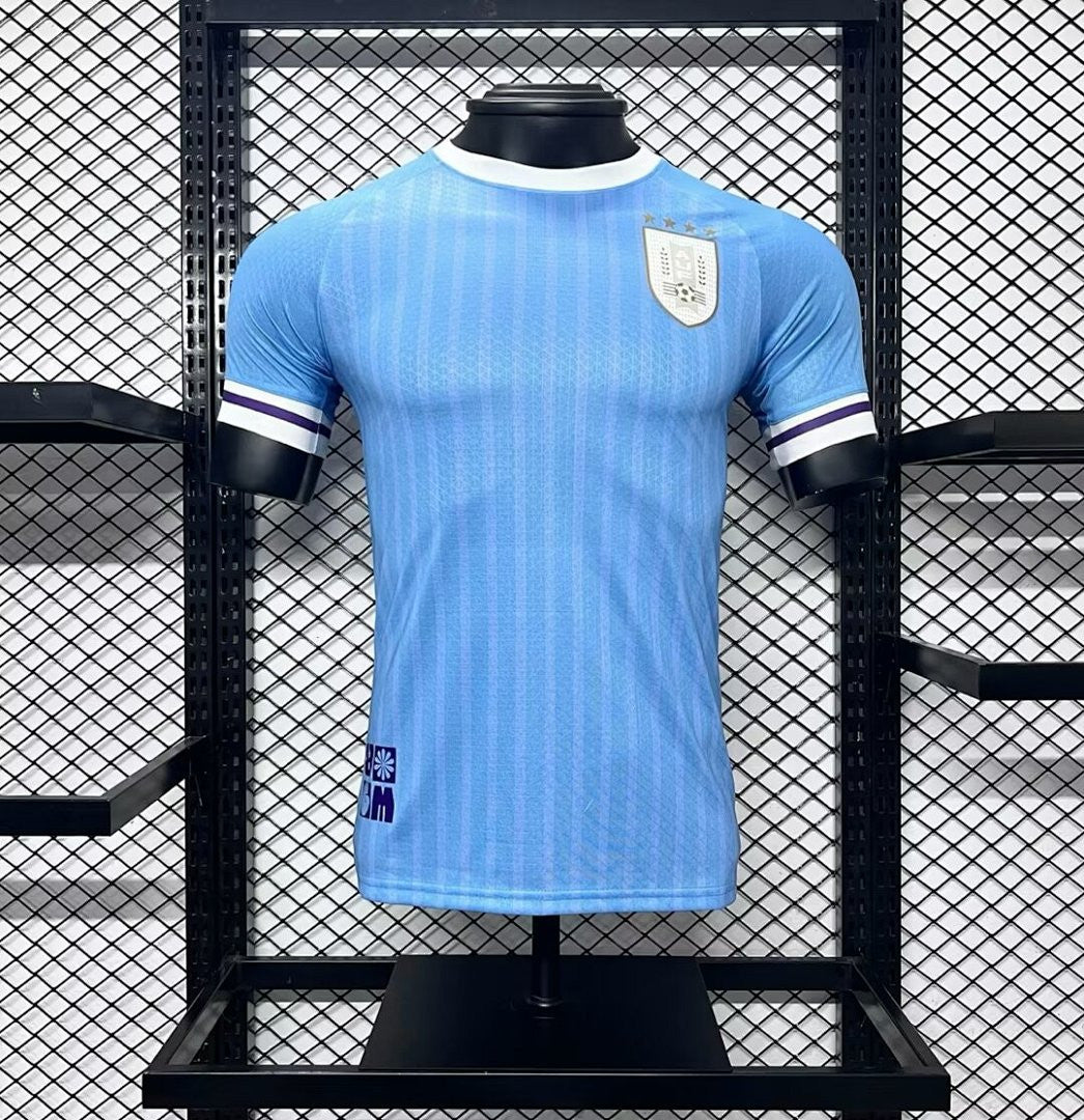 Maillot Uruguay 2024 Domicile Version Joueur