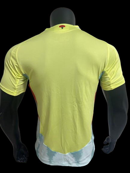 Maillot Espagne extérieur 2024/2025 Player Version - vue de dos
