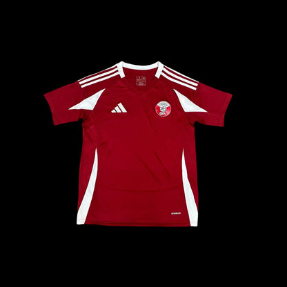 Qatar Home Jersey 24/25
