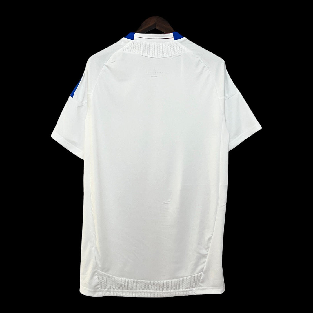 Maillot OL 2010/2011 rétro - vue de dos