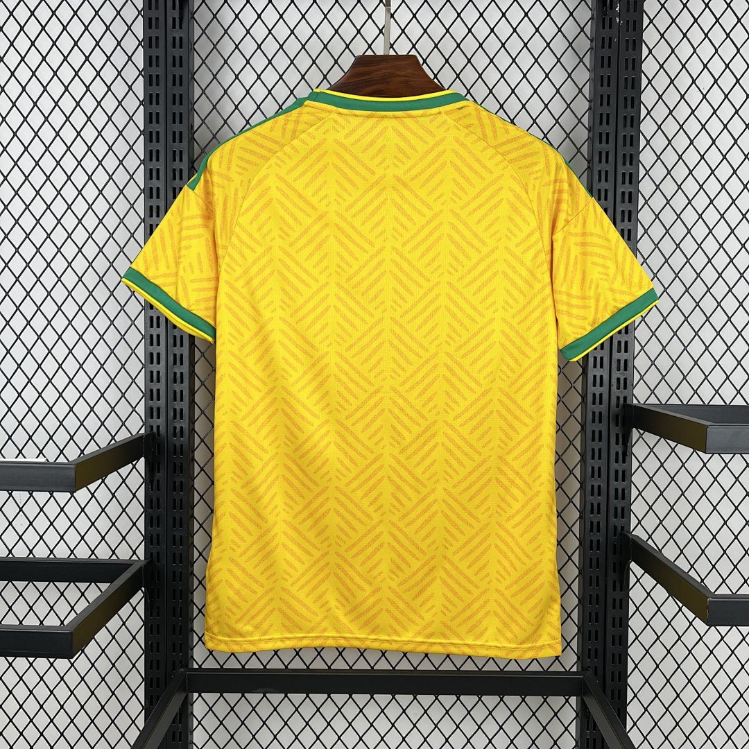 Maillot Afrique du Sud 2026 Coupe du Monde Domicile