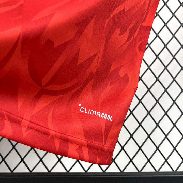 Maillot Belgique 2026 Coupe du Monde Domicile