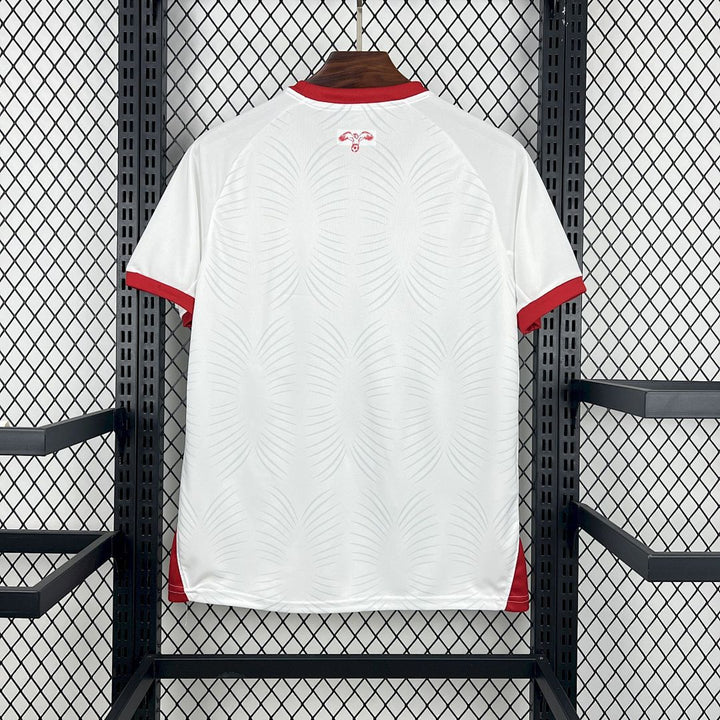 Maillot Jordanie 2026 Coupe du Monde Domicile