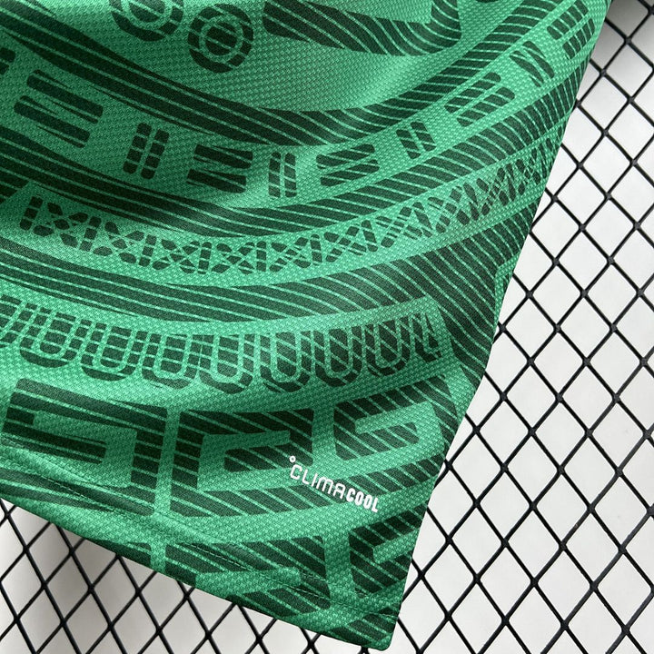 Maillot Mexique 2026 Coupe du Monde Domicile