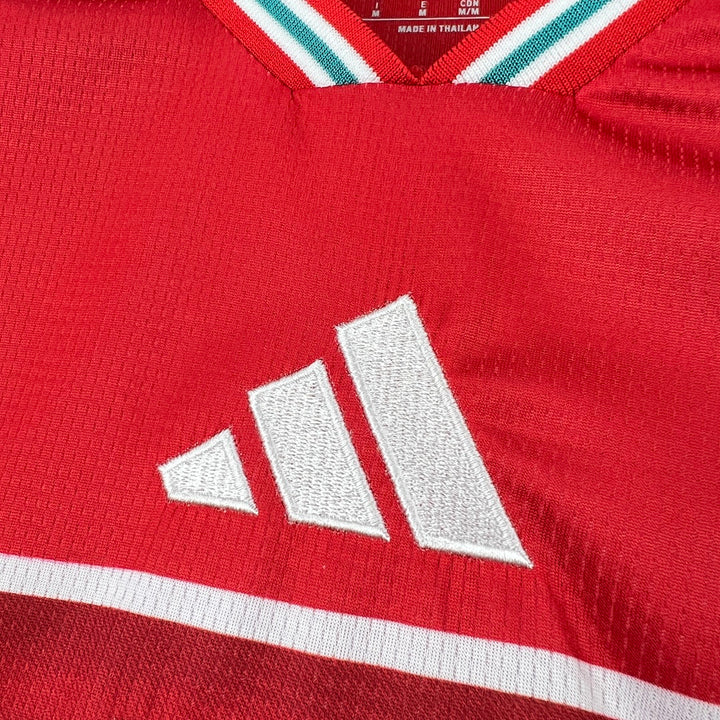 Maillot Pays de Galles 2026 Coupe du Monde Domicile